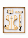 CONJUNTO RAYAS AMARILLO